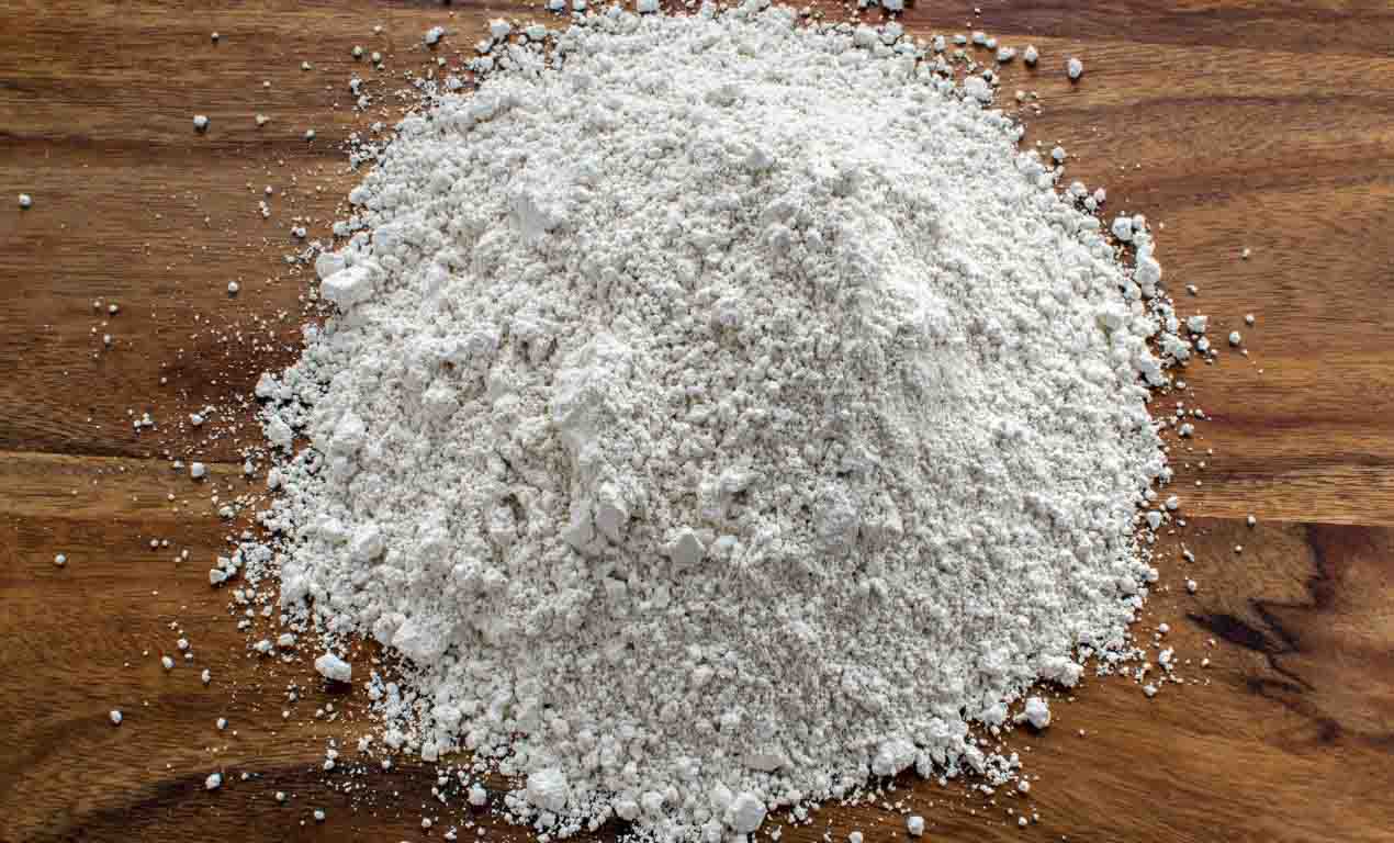 diatomaceous earth real