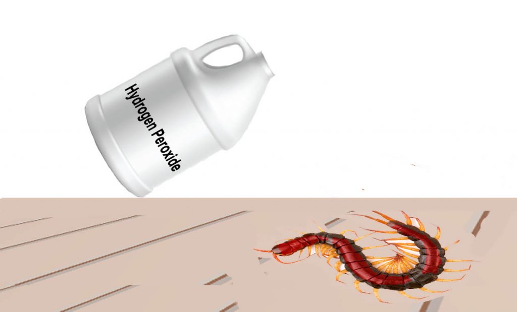 willhydrogenperoxidekillcentipedes