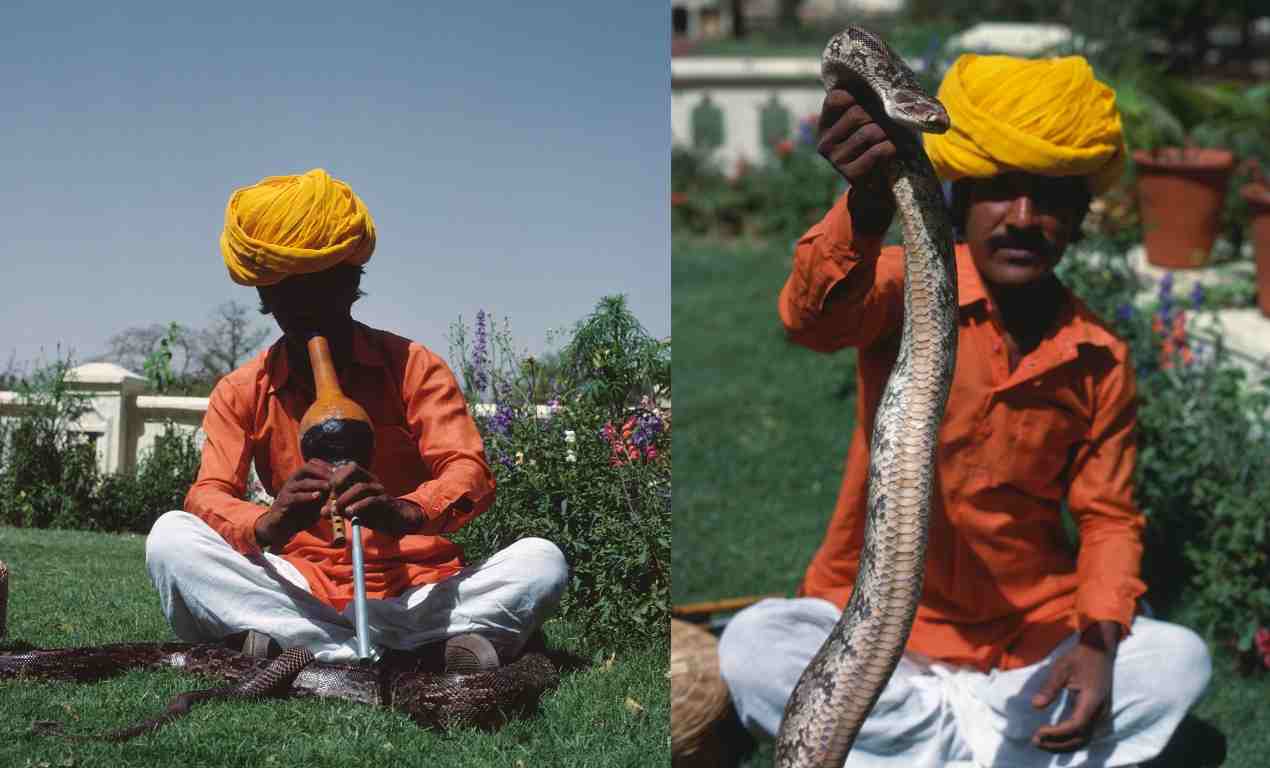 Snake Charmer