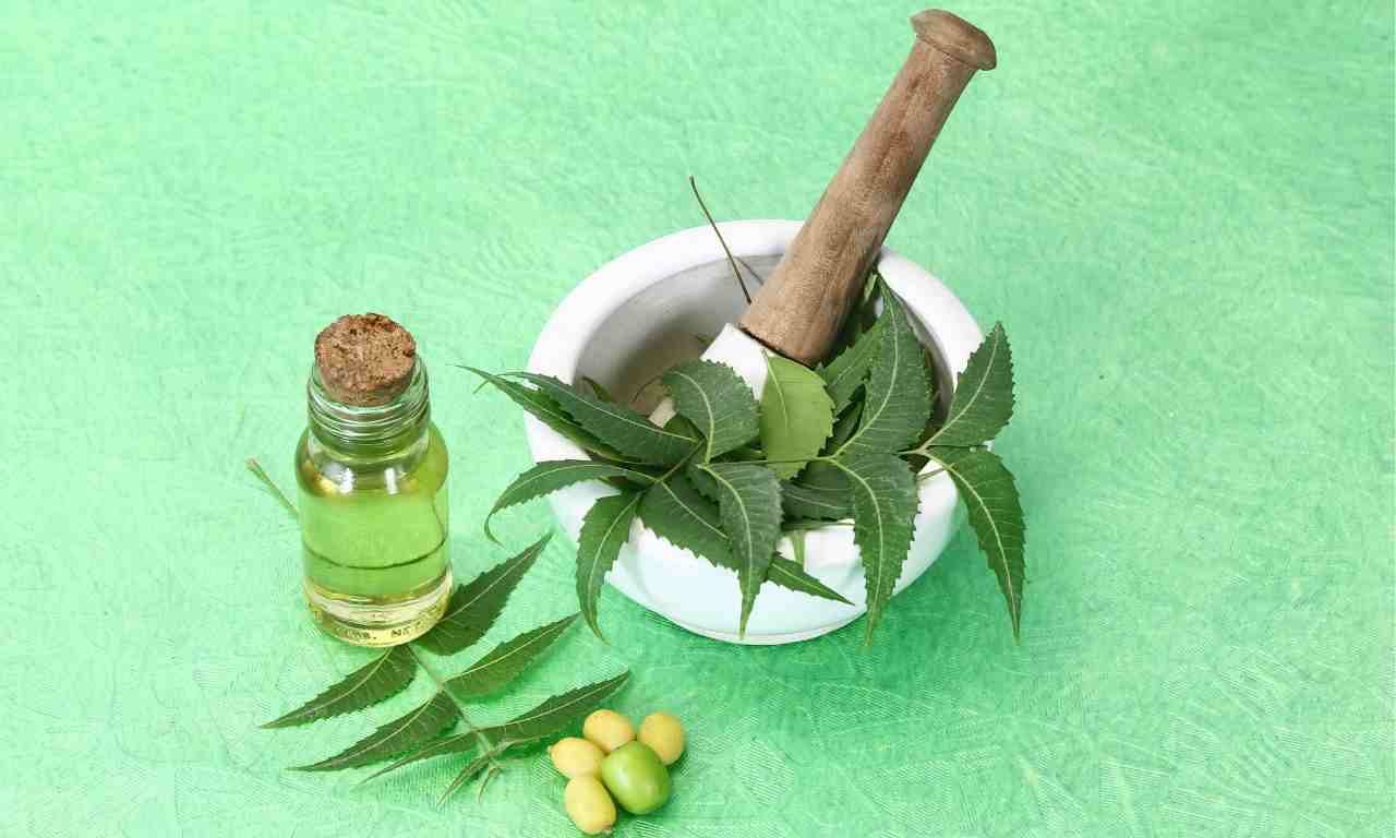 Neem Oil