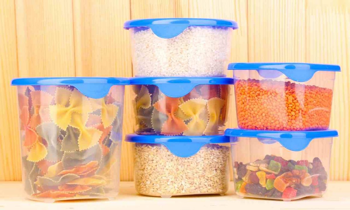 Can Roaches Eat Through Plastic?