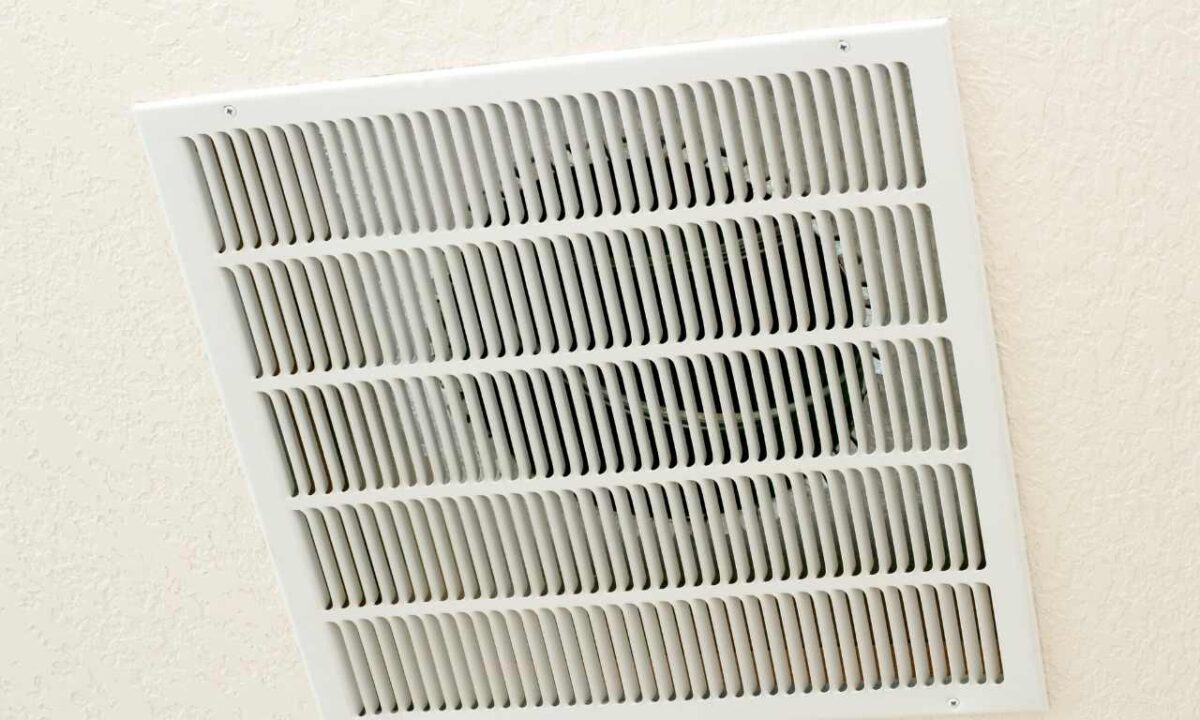 Can Scorpions Come Through Air Vents?