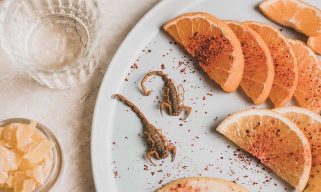 Scorpion Eating Fruits