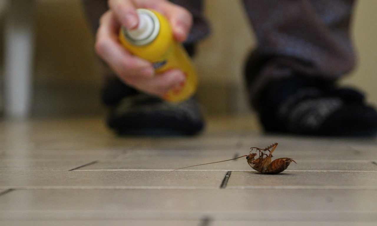 Cockroach Spray