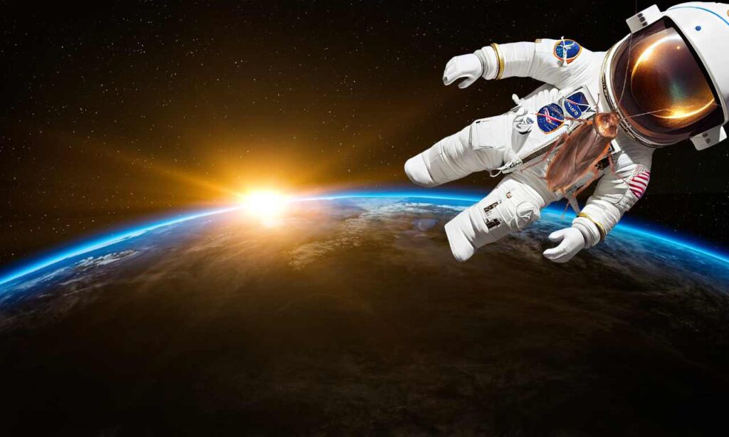 cockroach in space real